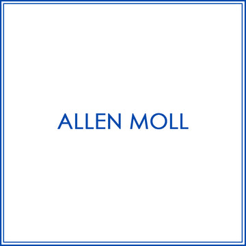 BlueJose Fire Gray Bowling and Pins Personalized Name Team Name 3D Shirt for Allen Moll