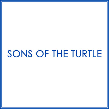 BlueJose Billiard Sons Of The Turtle Personalized Name, Team Name Unisex Shirt
