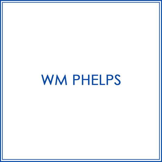 BlueJose Custom Darts Shoes For Wm Phelps